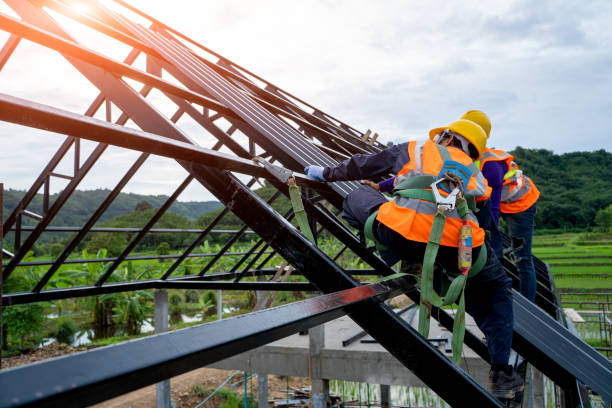 Best Roof Waterproofing Services  in Theodore, AL