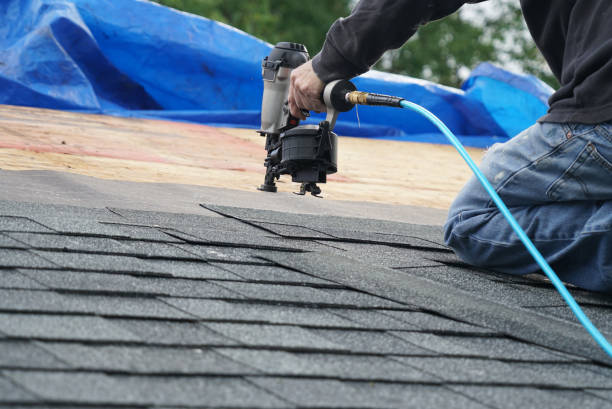 Best Metal Roofing Contractor  in Theodore, AL